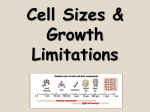 Cell Size Limitations Notes1