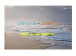 Pi Animals PowerPoint