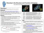 Amylase v1