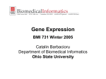 Statistical analysis of DNA microarray data