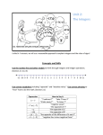 Unit 2: The Integers