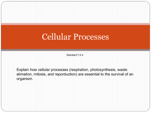 cellular processes