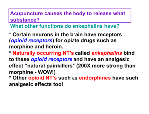 * Certain neurons in the brain have receptors (opioid receptors) for