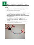 Candy Neurons Activity