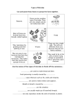 Types of microbes