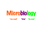 Introduction to Microbiology