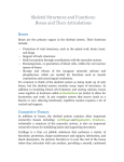 Skeletal Structures and Functions: Bones and Their Articulations