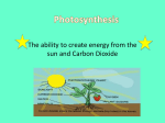 Photosynthesis Powerpoint