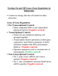 Eukaryotic Gene Regulation