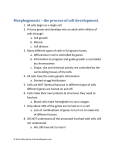 Morphogenesis – the process of cell development.