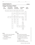 Energy Processing in Plants