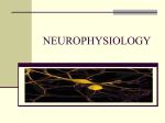 NEUROPHYSIOLOGY