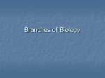 Branches of Biology