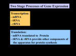 tRNA