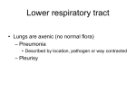 Pneumococcal Pneumonia