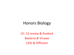 Honors Biology