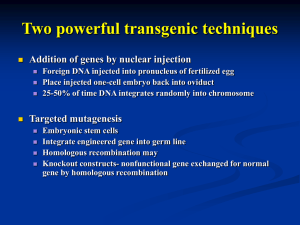 Two powerful transgenic techniques Addition of genes by nuclear