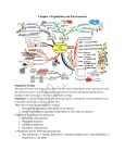 Chapter 4 Population and Environment