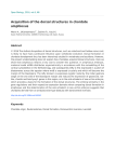 Acquisition of the dorsal structures in chordate amphioxus