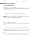 Plant Structures What Are the Functions of Roots, Stems, and Leaves?