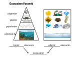 biotic elements abiotic elements ecosystem .