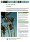 Nikau palm: conservation revealed: publications