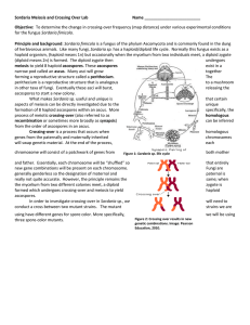 Sordaria Meiosis and Crossing Over Lab Name Objective: To