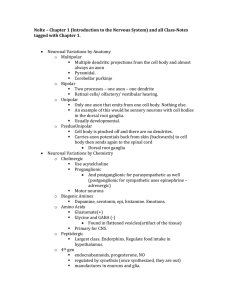 Nolte – Chapter 1 (Introduction to the Nervous