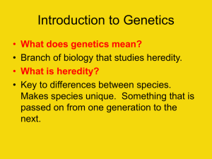 Chapter 11: Intro. to Genetics