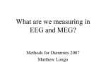 What are we measuring in EEG and MEG?