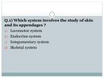 MCQs on introduction to Anatomy [PPT]