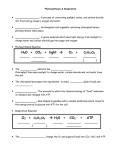 Photosynthesis and Respiration Notes