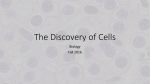 The Discovery of Cells