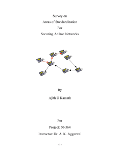 Standardization areas for securing Ad hoc networks