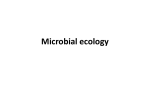 Microbial ecology