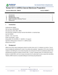 Human Kv11.1 (hERG) Channel Membrane Preparation