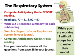 The Respiratory System