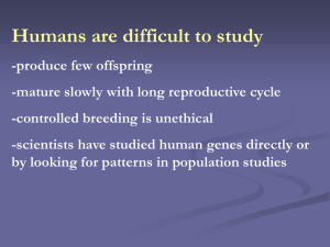 Chapter 14 The Human Genome