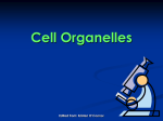 Cell Organelles