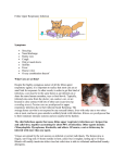 Feline Upper Respiratory Infection Symptoms Sneezing Nasal