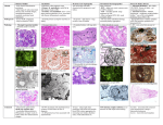 Pathophys - Renal - Systemic_vascular_hereditary