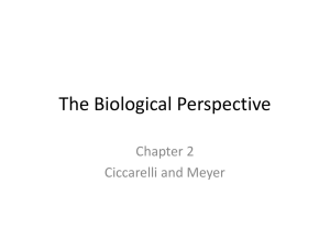 The Biological Perspective - Shannon Deets Counseling LLC