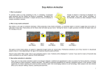 Stop Motion Animation Notes