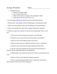 Individual worksheet