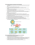 Structure and Function of Plants Review