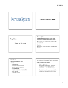 Nervous System