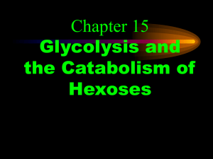 Glycolysis and the Catabolism of Hexoses