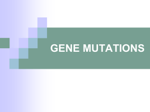 GENE MUTATIONS