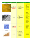 CELL STRUCTURE LOCATION DESCRIPTION FUNCTION