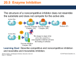 Irreversible Inhibition